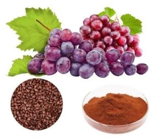 Grape Seed Extract