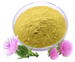 Silymarin Powder