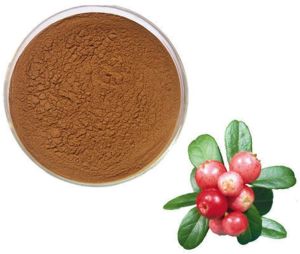 Rosehip Extract