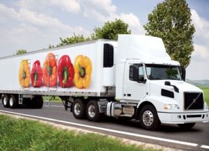 Cold Chain Logistics Services