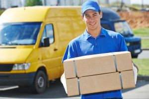Domestic Courier Services