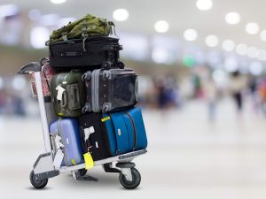 Excess Baggage Shipping Services