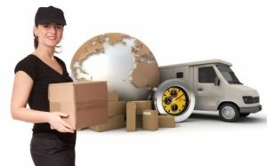 Express Parcel Delivery Services