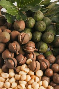 Macadamia Nut Seeds
