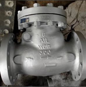 Audco Wcb Flanged Non Return Valve
