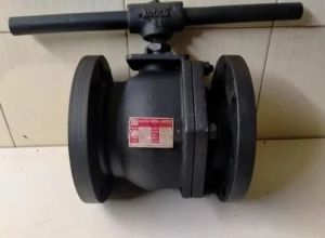 Audco Wcb Two Piece Flanged Ball Valve