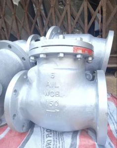 Cast Iron Flanged Swing Check Valve