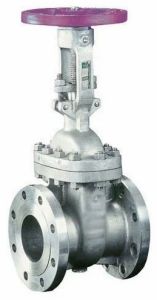 Corrosion Resistant Flanged Gate Valve