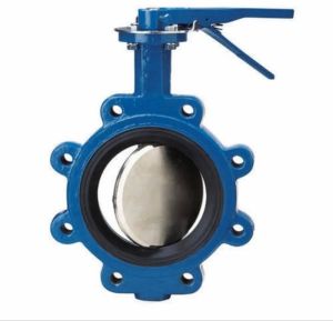 Flowmax Cast Iron Wafer Butterfly Valve