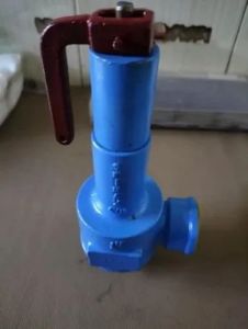 Forbes Marshall Spirax Cast Iron Safety Valve