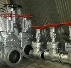 Ksb Cast Carbon Steel Flanged Gate Valve