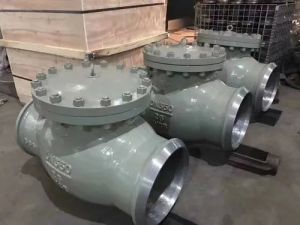 Ksb Wcb Horizontal Non Return Valve