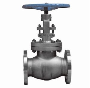 Precision Flow Control Globe Valve