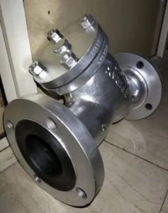 Spirex Cast Steel Y Strainer
