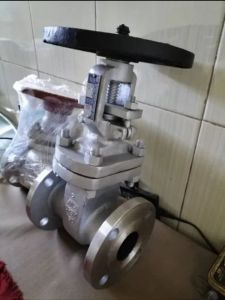 Wcb Flanged Gate Valve
