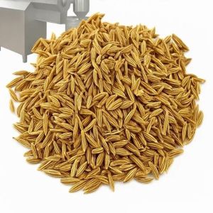 Export Grade Cumin Seeds