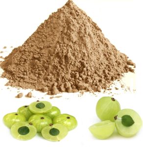 Fine Ground Amla Powder
