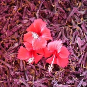 Naturally Dried Hibiscus Flower