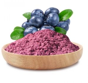 Spray Dried Blueberry Fruit Powder