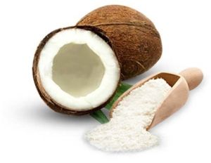 Spray Dried Tender Coconut Powder