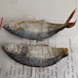 Dried Silver Fish