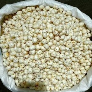 Broken Makhana