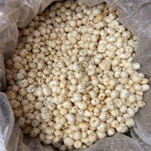 Chhota Makhana