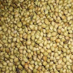 Badami Coriander Seeds