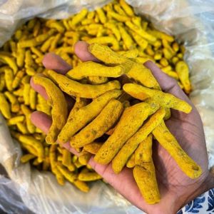 Erode Turmeric Finger