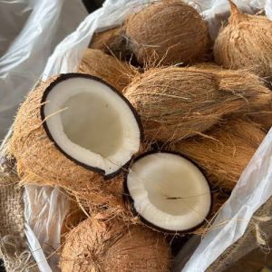 Fresh Husked Coconut