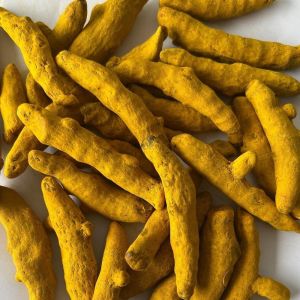 Lakadong Turmeric Finger