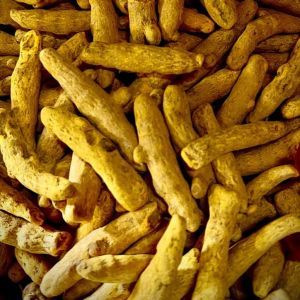 Rajapuri Turmeric Finger