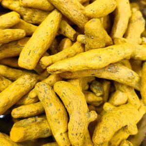 Salem Turmeric Finger