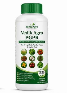 Vedika Agro Pgpr Plant Growth Promoter