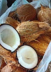 Fresh Farm Harvested Mature Coconut