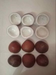 Natural Dried Copra Coconut