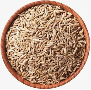 Brown Cumin Seeds