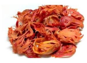Jaypatri Mace Spice
