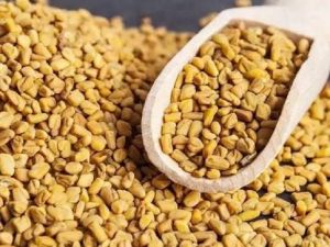 Whole Fenugreek Seeds