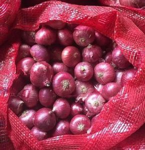 25mm Fresh Red Onion