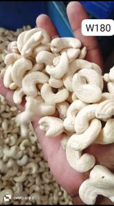 W180 Cashew Nut