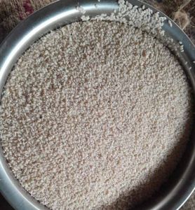 White Sesame Seed