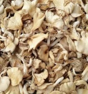 A Grade Dried Oyster Mushroom