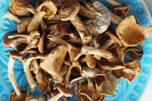 Dehydrated Oyster Mushroom