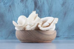 Fresh Oyster Mushroom