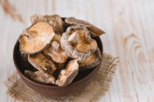 Natural Dried Oyster Mushroom