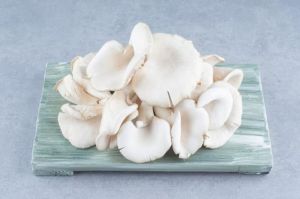 Naturally Grown White Oyster Mushrooms