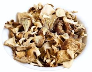 Whole Dried Oyster Mushroom