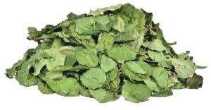 Dry Moringa Leaf