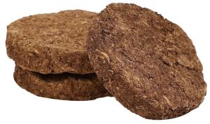 Eco Friendly Cow Dung Cakes